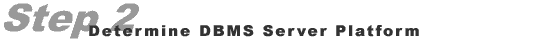 Step 2: DBMS Platform