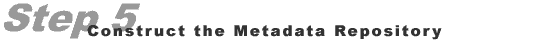 Step 5: Metadata Repository