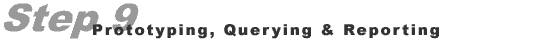 Step 9: Prototyping, Querying & Reporting