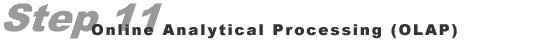Step 11: Online, Analytical Processing (OLAP)